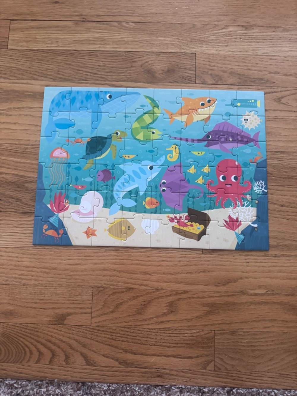 Kids Ocean Puzzle